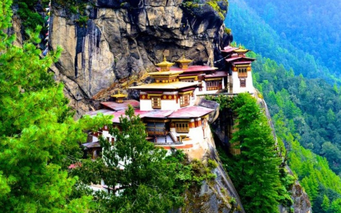Paro