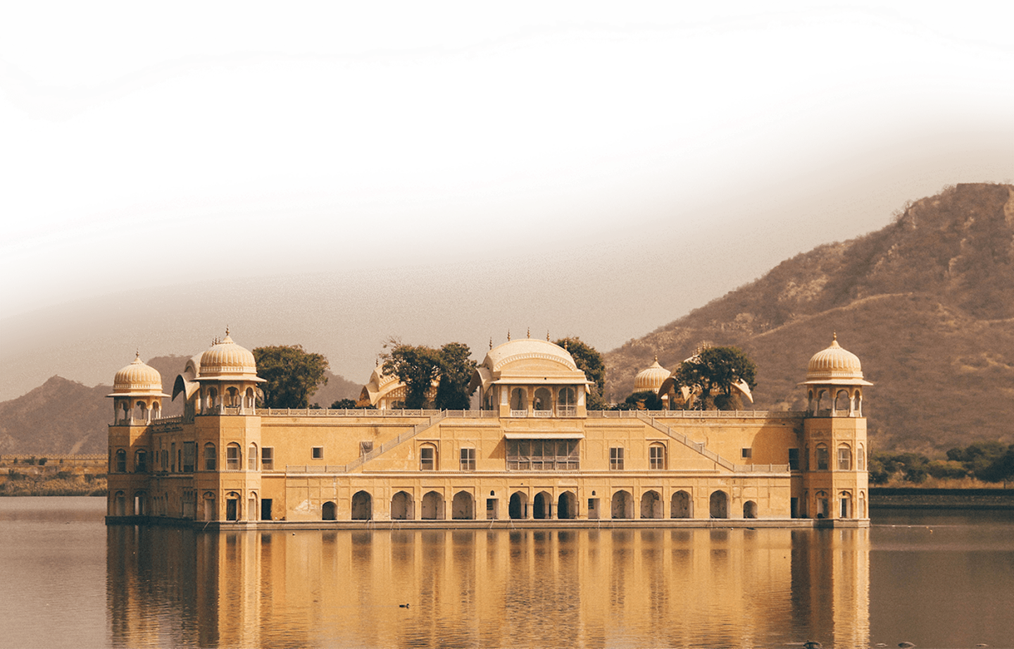 Homepage Banner
